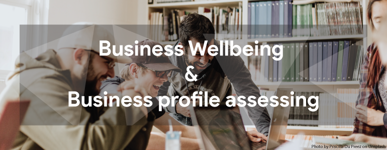 Business Wellbeing & Business profile assessing 