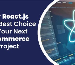 Why is React.js the Best Choice